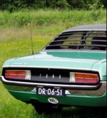 Arxa stopları: Közərmə, Ford 1965 il, Orijinal, ABŞ, İşlənmiş