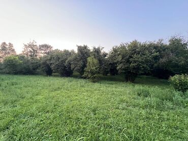 Həyət evləri və villaların satışı: 4 otaqlı, 63 kv. m, Təmirsiz — 5