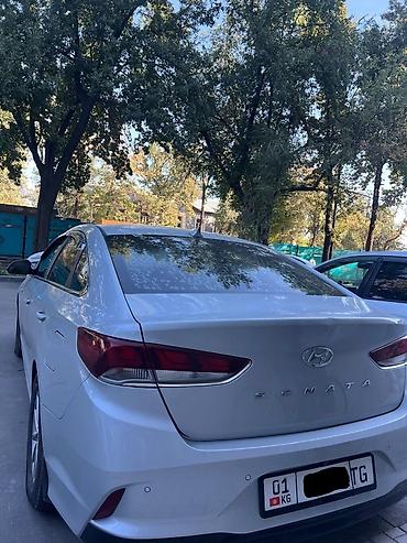 шевроле гибрид: Hyundai Sonata: 2019 г., 2 л, Автомат, Газ, Седан — 4