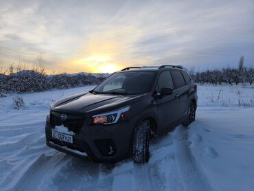 Subaru: Subaru Forester: 2019 г., 2.5 л, Вариатор, Бензин, Кроссовер — 9