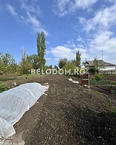 4: 🏠Продается дом в с. Беловодское Верхняя зона район Фасоль завод — 2