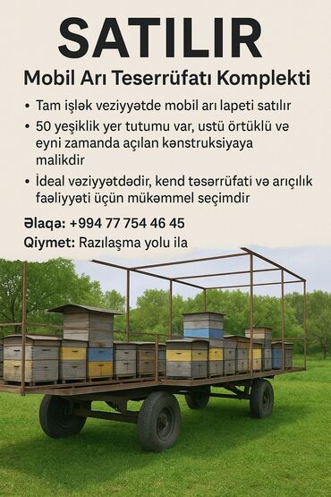 Hazır biznes: SATILIR — Mobil Arı Təsərrüfatı Komplekti • Tam işlək vəziyyətdə