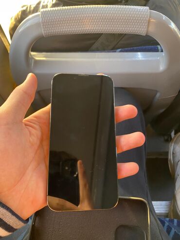 Apple iPhone: IPhone 13 Pro, Б/у, 256 ГБ, Black Titanium, Чехол, 100 % — 2