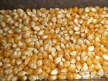 симина кукурузы: 🌽 ПОПКОРН ҮЧҮН ЖҮГӨРҮ САТЫЛАТ! 🌽 Сапаттуу, 100% кургак, попкорн — 2