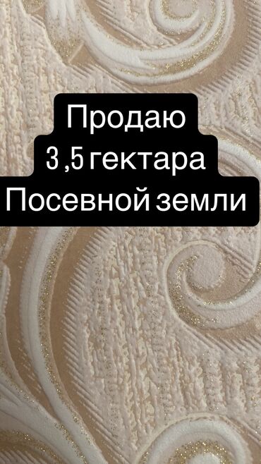 квартира бишкек 1 комната: Айыл чарба үчүн