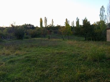 xırdalan kirayə evlər 1 otaqlı: 20 sot, Tikinti, Makler, Kupça (Çıxarış)