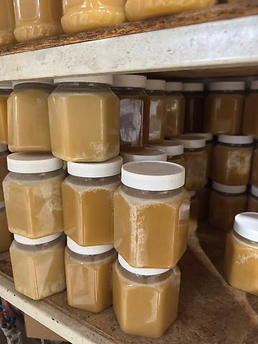 Мёд: 🍯 Токтогульский горный мёд — натуральный, ароматный, с кремовой — 5