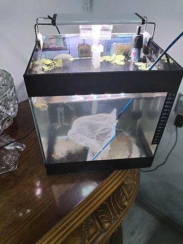akvarium isiq: Dördbucaq akvarium, Boş, 12 l — 4
