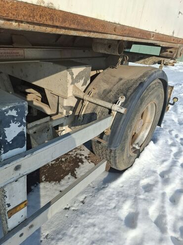 Прицепы и полуприцепы: Прицеп, Special trailer, Изотермический — 3