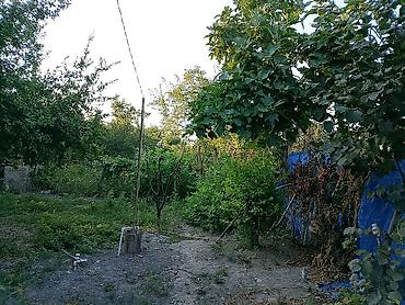 lalafo şirvan ev: 2 otaqlı, 80 kv. m, Təmirsiz — 10