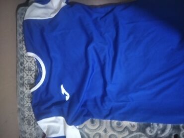 мужские куртки пуховики: Футболка L (EU 40), цвет - Синий