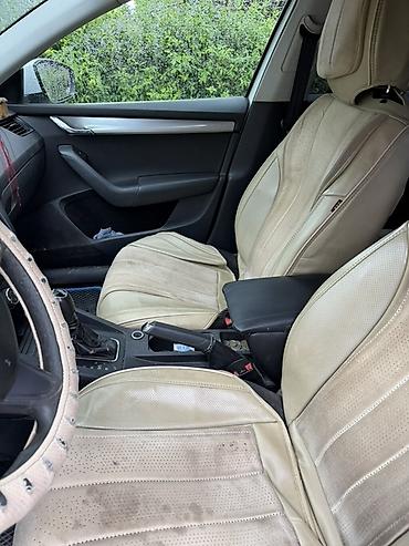 авто полироль: Skoda Octavia: 2018 г., 1.6 л, Автомат, Бензин, Седан — 5