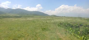 бает село: 428 соток, Для сельского хозяйства, Договор купли-продажи — 7