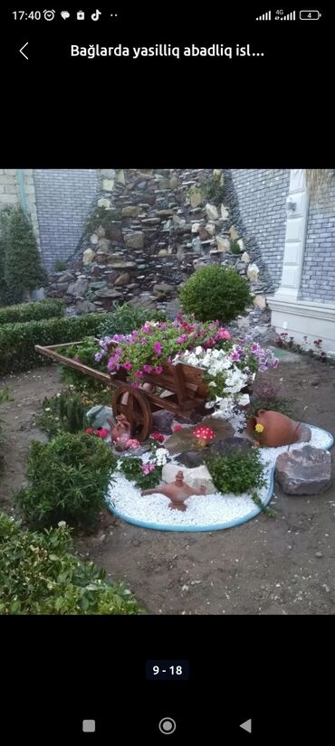 Toxumlar: Abadliq isi torf satsi torf,torpaq,peyin torf 20litr 250litr 100litr -da lalafo.az — 6 Toxumlar: Abadliq isi torf satsi torf,torpaq,peyin torf 20litr 250litr 100litr — 6