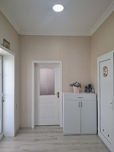 Torpaq sahələrinin satışı: Meyvə bağ sahəsi satılır - Sahədə müxtəlif meyvə ağacları əkilib — 16