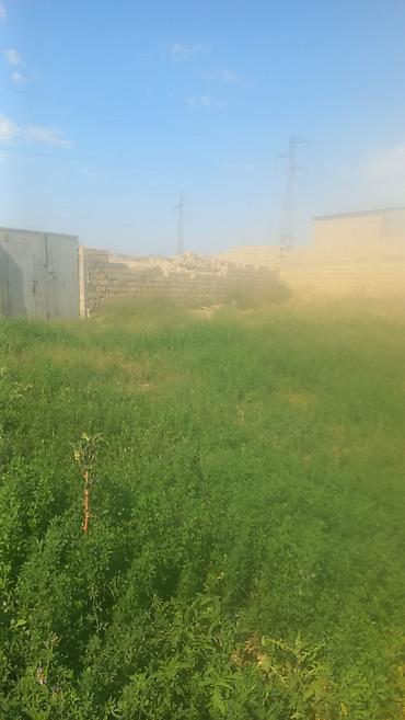 1 hektar nece km dir: 4 sot, Tikinti, Mülkiyyətçi, Kupça (Çıxarış) — 2