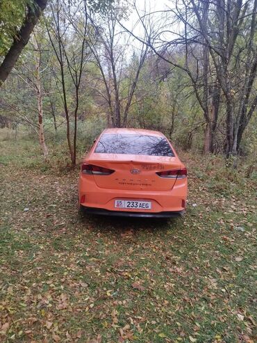 Hyundai: Hyundai Sonata: 2019 г., 2 л, Автомат, Бензин, Седан — 1