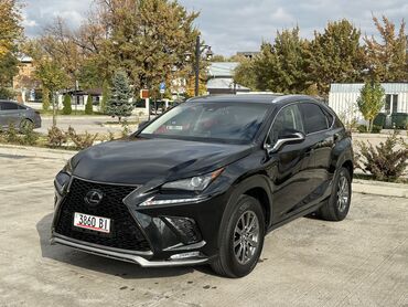 лексус nx 300: Lexus NX: 2019 г., 2 л, Автомат, Бензин, Кроссовер