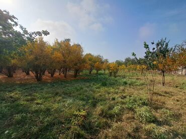 Həyət evləri və villaların satışı: 🏡 Satılır: 2 mərtəbəli həyət evi – Ağsu rayonu, Ərəbmehdibəy kəndi 📍 — 14