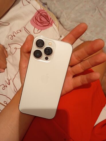 внутренний модем: IPhone 13 Pro, Күмүш