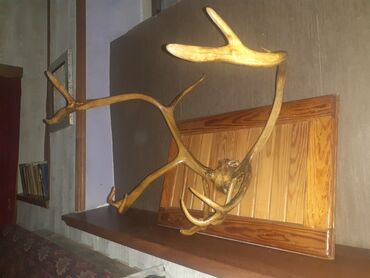 Ütüləmə lövhələri: Tebii maral buynuzu.65 sm.naturalnie roqa