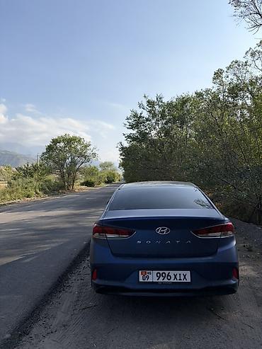 sonata: Hyundai Sonata: 2019 г., 2 л, Автомат, Газ, Седан — 10