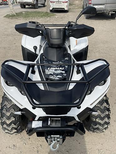 Квадроциклы: Квадроцикл Linhai 300 (4x4) - Мощный утилитарный ATV с полным — 4
