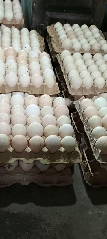 Уход за телом: ПРОДАЮ Мочалки . Ручная вязка, массажный эффект, легко пенится — 5