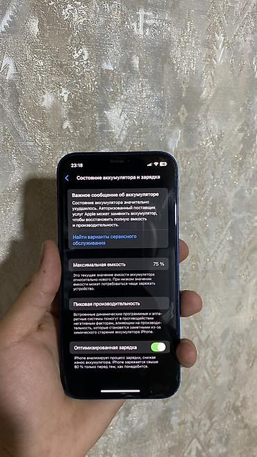Apple iPhone: IPhone 12, Б/у, 256 ГБ, Синий, Защитное стекло, Чехол, 75 % — 9