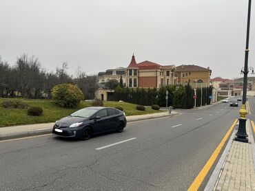 Toyota: Toyota Prius: 1.8 l | 2012 il Hetçbek — 3
