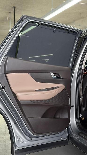 Hyundai: Hyundai Santa Fe: 2019 г., 2 л, Бензин — 16