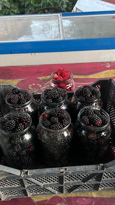 Яблоки at lalafo.kg Яблоки