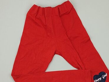 gatta spodnie legginsy: Legginsy dziecięce, Little kids, 4-5 lat, 104/110, stan - Bardzo dobry
