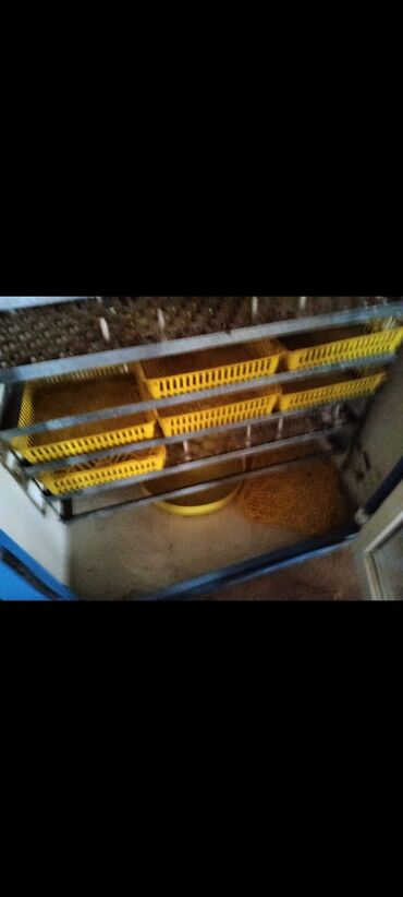 İnkubatorlar: İran, Tam avtomat — 4