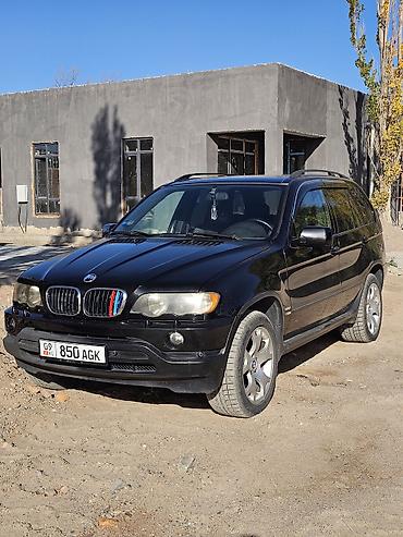 BMW X5: 2003 г., 3 л, Автомат, Дизель, Кроссовер
