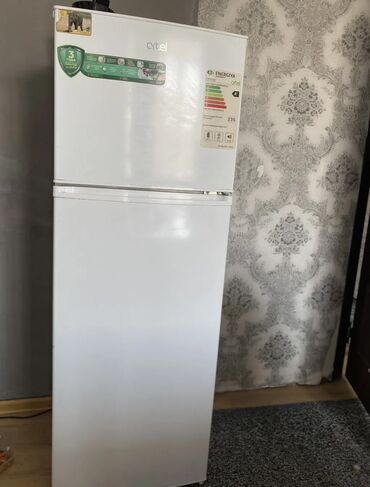 петличные микрофон: Муздаткыч Artel, Колдонулган, Эки камералуу, 60 * 160 *