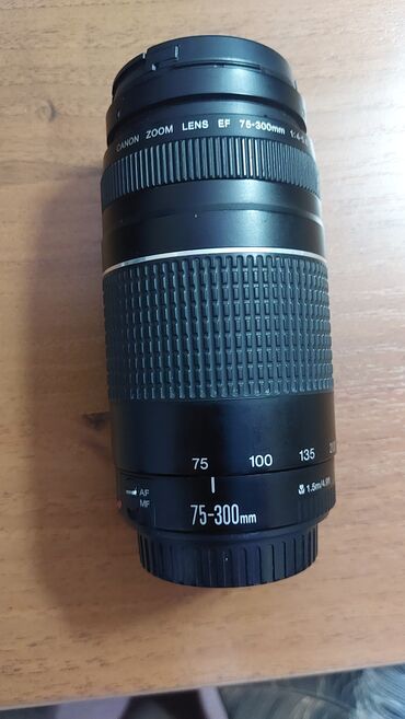 Объективы и фильтры: Canon 75-300 ef/ f4-5,6 Состояние отличное 9 из 10. Прекрасный