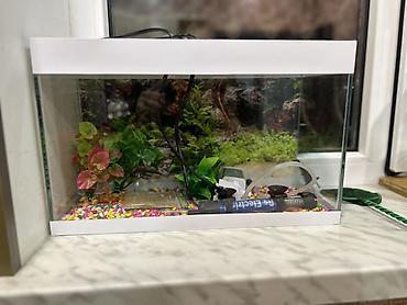 akvarium işığı: Dördbucaq akvarium, Boş, 15 l, Ödənişli çatdırılma, Ünvandan götürmə — 3