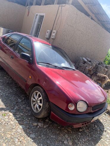 тойота камри10: Toyota Corolla: 1998 г., 1.3 л, Механика, Бензин, Хетчбек