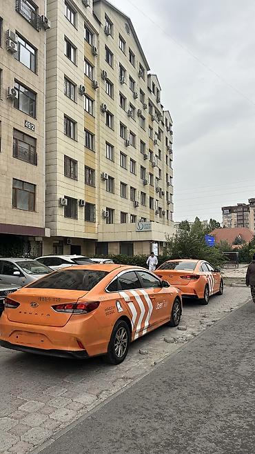 санато 2019: Hyundai Sonata: 2019 г., 2 л, Автомат, Газ, Седан — 4