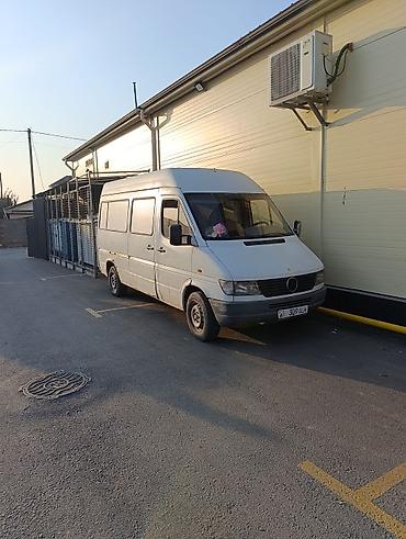 sprinter 516: Легкий грузовик, Mercedes-Benz, Стандарт, 3 т, Б/у — 2