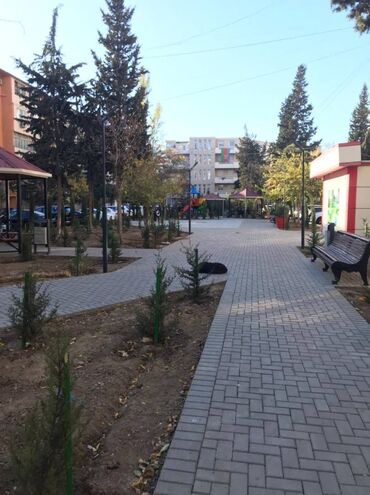 Köhnə tikili: Bakı, 2 otaqlı, Köhnə tikili, 45 kv. m — 13