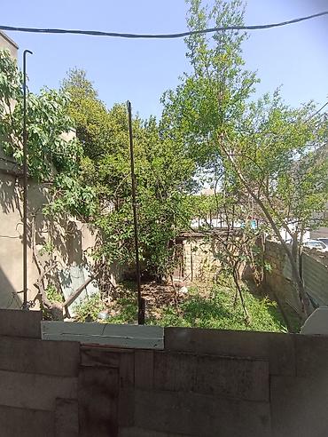 mida satis: 1 sot, Mülkiyyətçi — 5