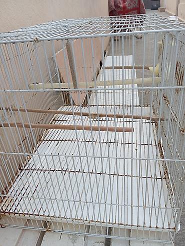 hamster qefesi: Quş qəfəsi,hamster qefesi, dovşan qəfəsi ve s - Material: metal torlu — 3