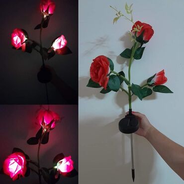 Rasveta: Solarno cveće AKCIJA Cena 1 kom 1250 din 2 kom 2050 din 3 kom 2750 — 4