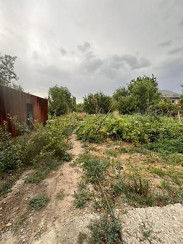 Продажа домов: 4 комнаты, 90 м², 18 соток, Военно-Антоновка, Агентство недвижимости — 4