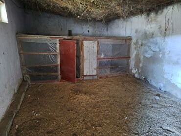 Həyət evləri və villaların satışı: 6 otaqlı, 200 kv. m, Kredit yoxdur, Orta təmir — 24