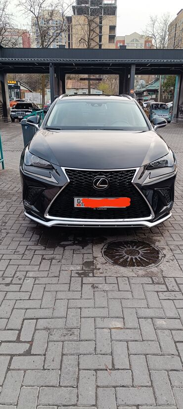 Lexus: Lexus NX: 2020 г., 2 л, Автомат, Бензин, Кроссовер