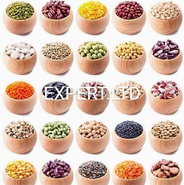 Digər istehsal avadanlığı: Günəbaxan, buğda, düyü, püstə, badam, araxis, paxlalı bitkilərin — 13