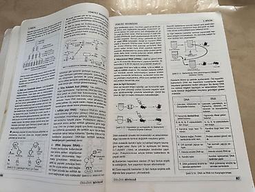 Книги и журналы: Məhsul: “Biyoloji – DNA” (ÖSS-ÖYS Hazırlık, Fen Bilimleri Seti) — 7